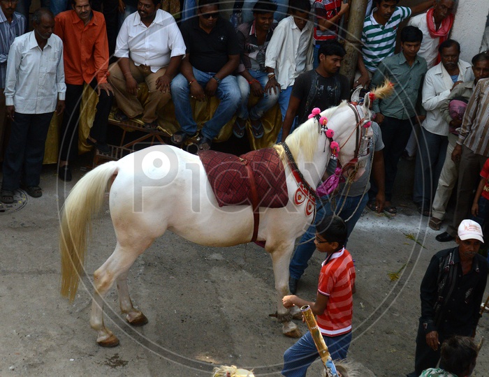 Horse Man Doing Feats With The Horse In Procession Of Marbat in Nagpur