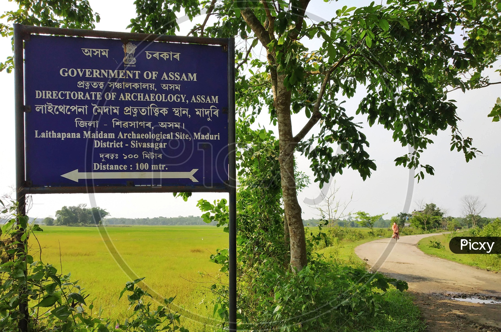 Government Of Assam Directorate Of Archaeology  , Assam Name Board