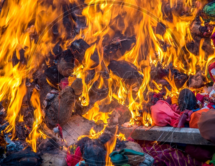 Indian People Celebrating Holika Dahan  a Worship By Firing Wooden Logs And Dried Coconuts on  the Eve Of Holi .Also Called as Festival Of Colors