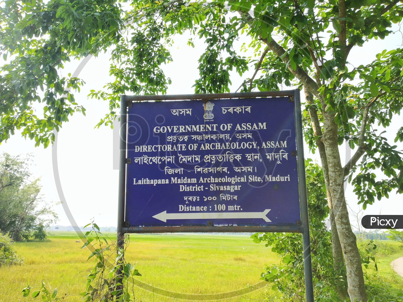 Government Of Assam Directorate Of Archaeology , Assam  Name Board