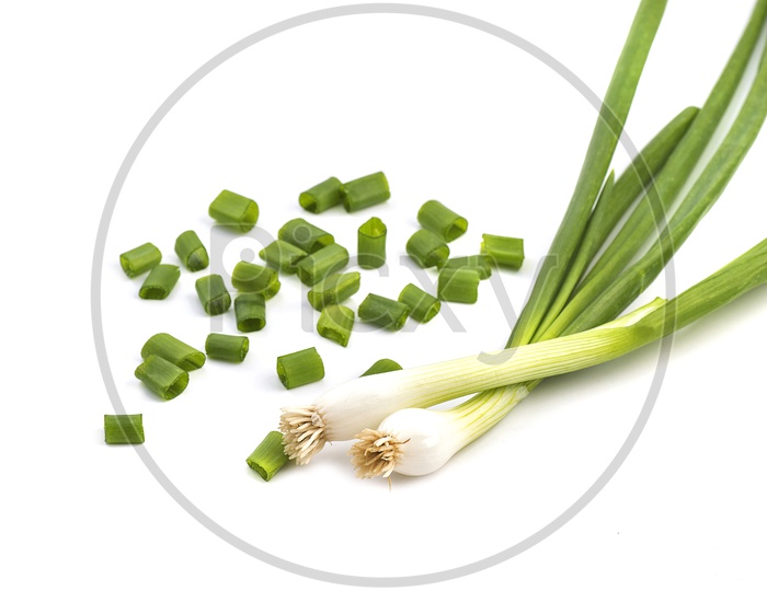 Fresh And Finely Chopped Green Spring Onions on an Isolated White Background