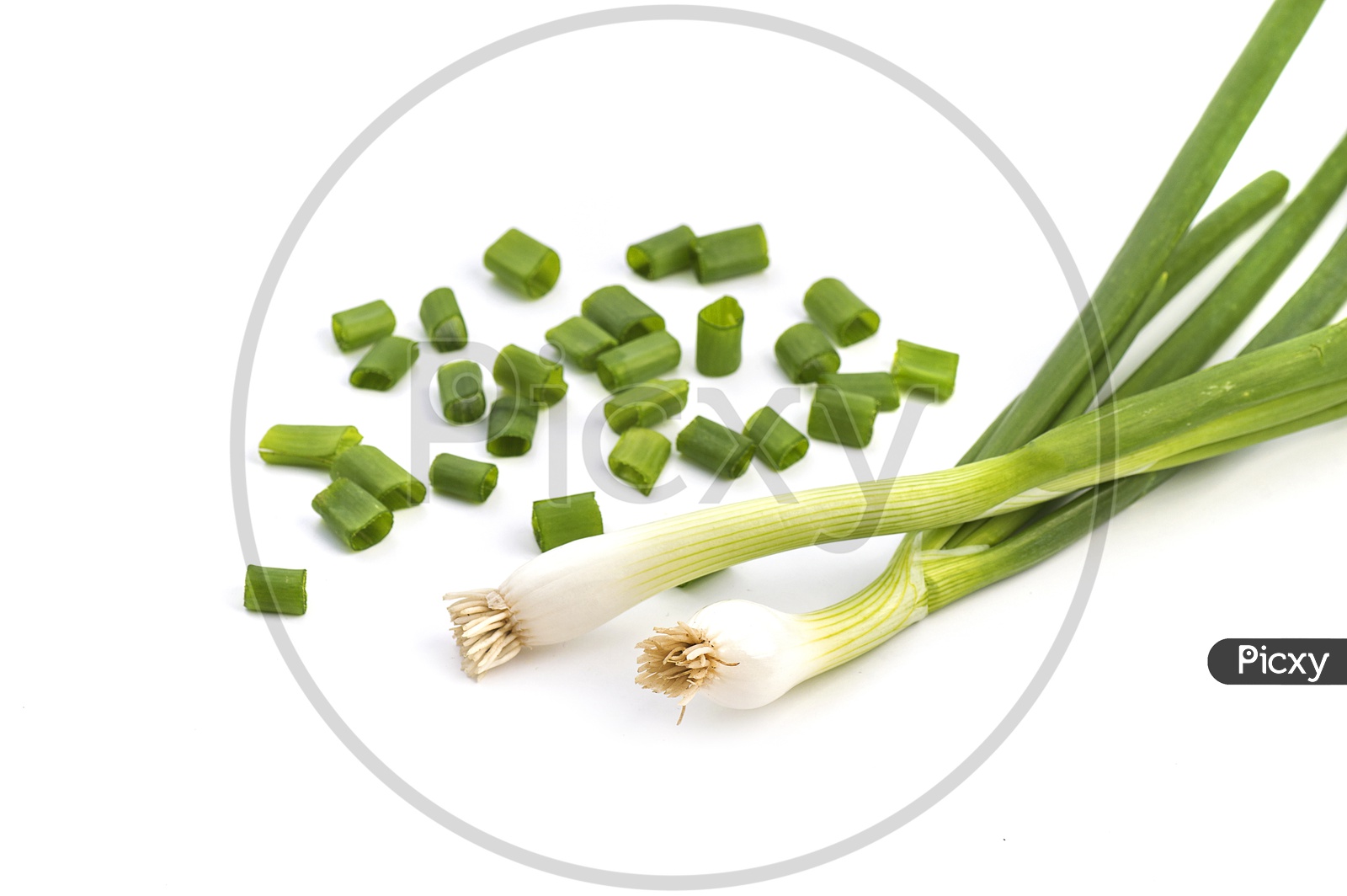 Fresh And Finely Chopped Green Spring Onions on an Isolated White Background
