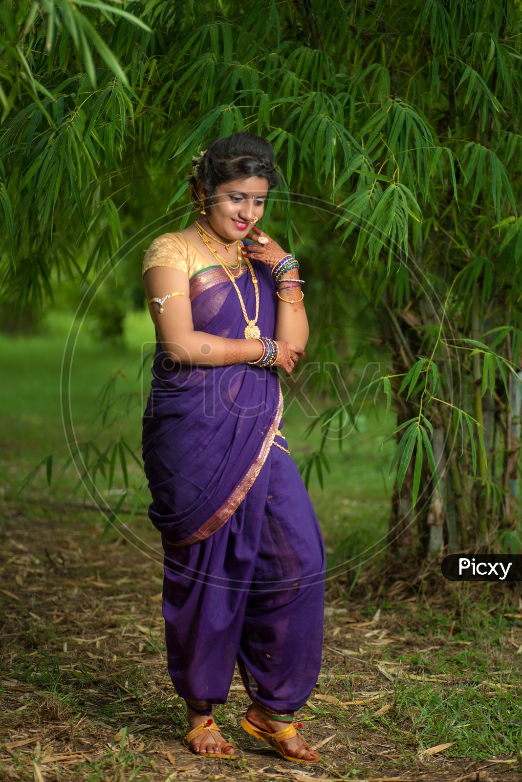 Image of Indian traditional Beautiful Woman Wearing an traditional Saree  And Posing On The Outdoor With a Smile Face-VA032892-Picxy