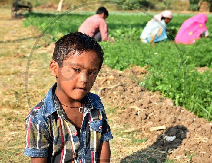 Portrait Of  An Indian Boy In a Coriander Farm
