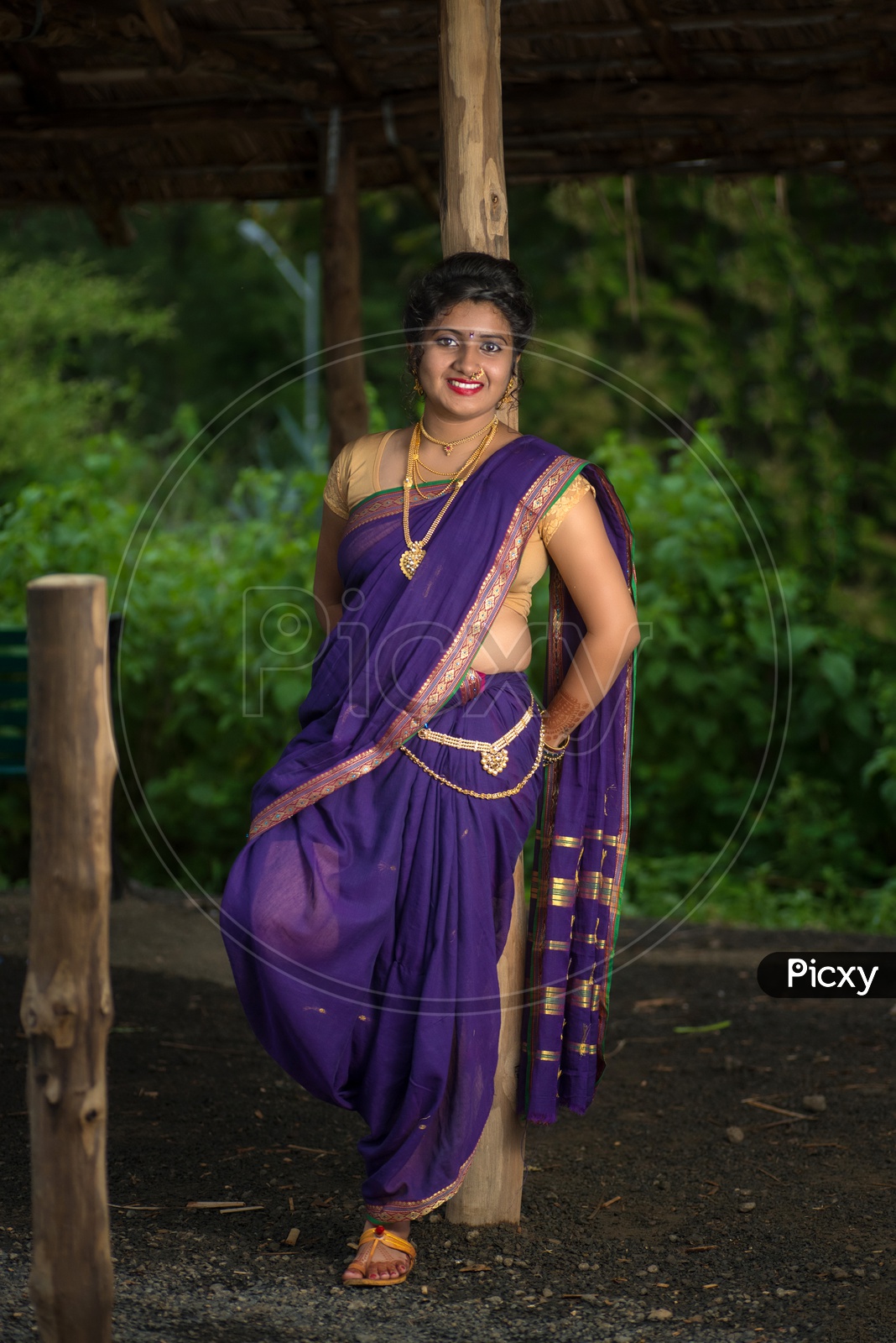 Beautiful young girl posing in traditional saree Stock Photos