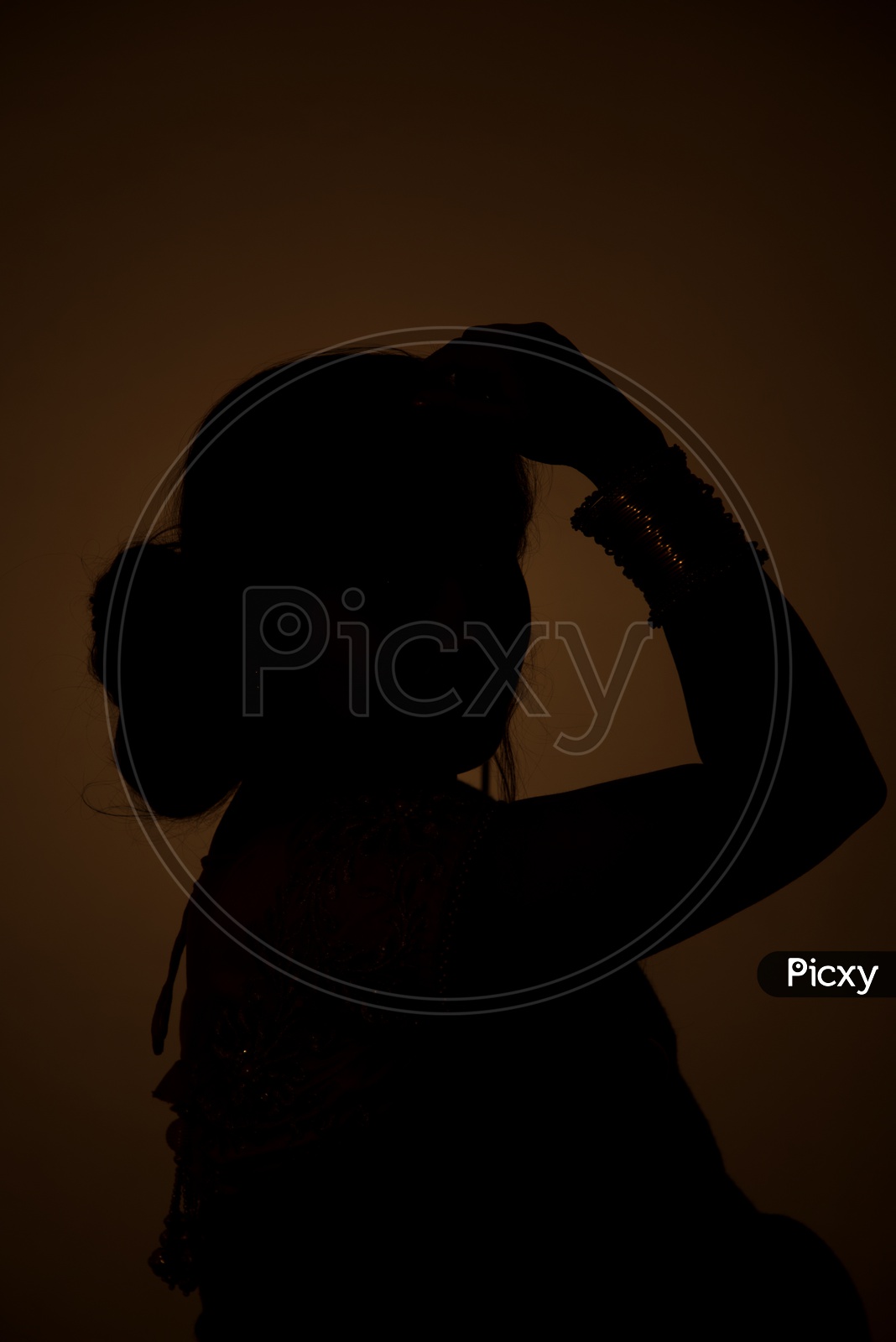 Silhouette Of an Young Traditional Indian Woman Wearing a Elegant Saree And Posing