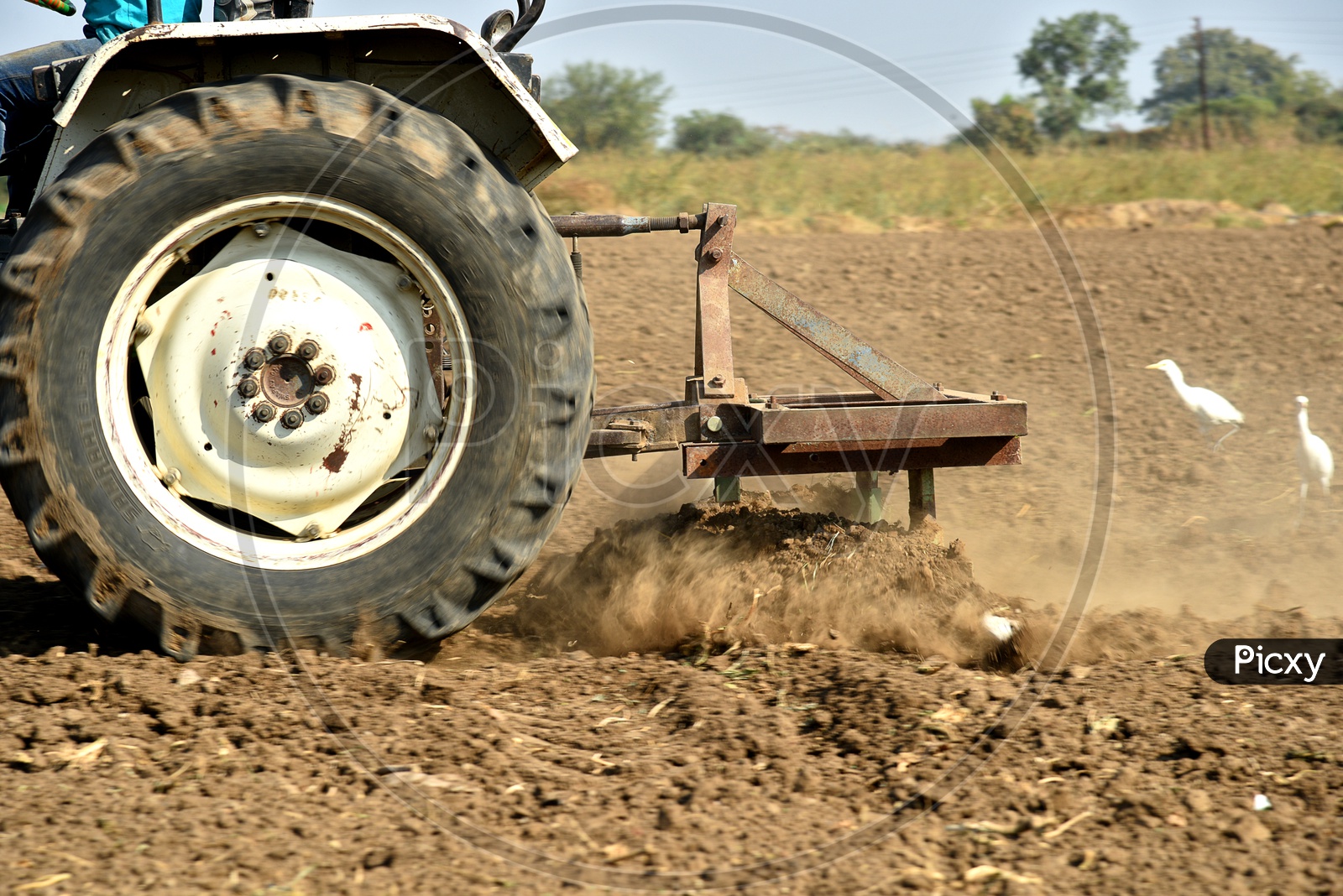 What Is A Seedbed In Agriculture