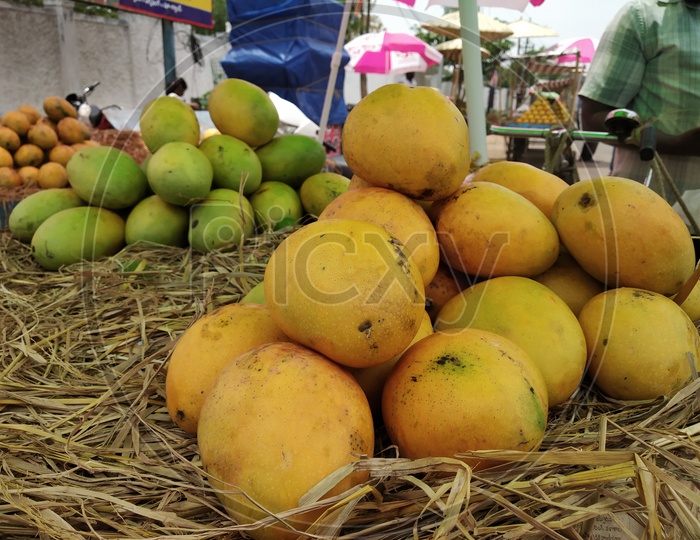 Mangoes Pile in a Vendor Shop or Stall