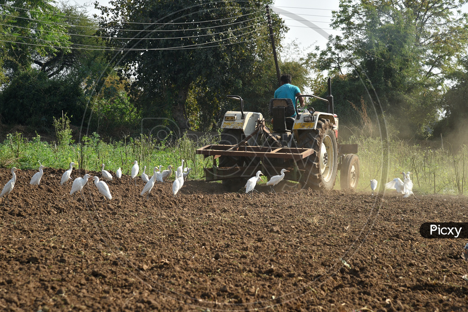 An Indian Farmer Ploughing The Agricultural Field With Tractor Preparing The Land For Sowing With Seedbed Cultivator