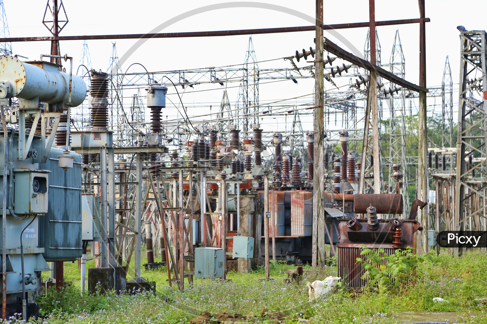 Electrical supply