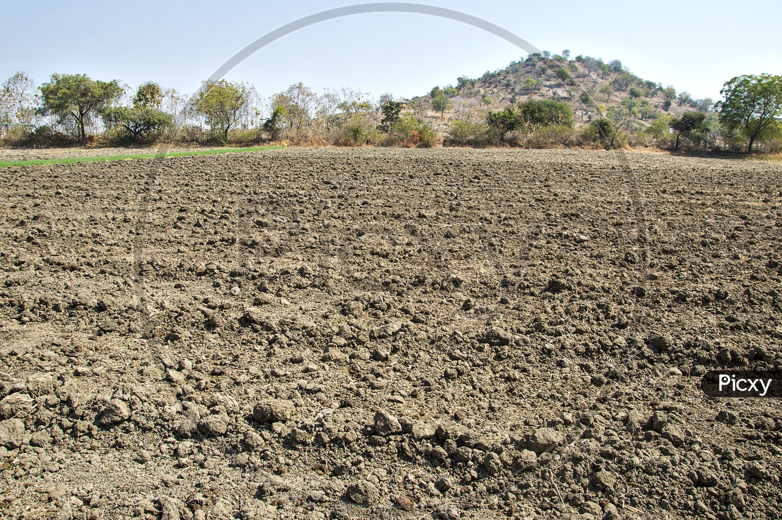 Dried Agricultural Lands With Loose Soil