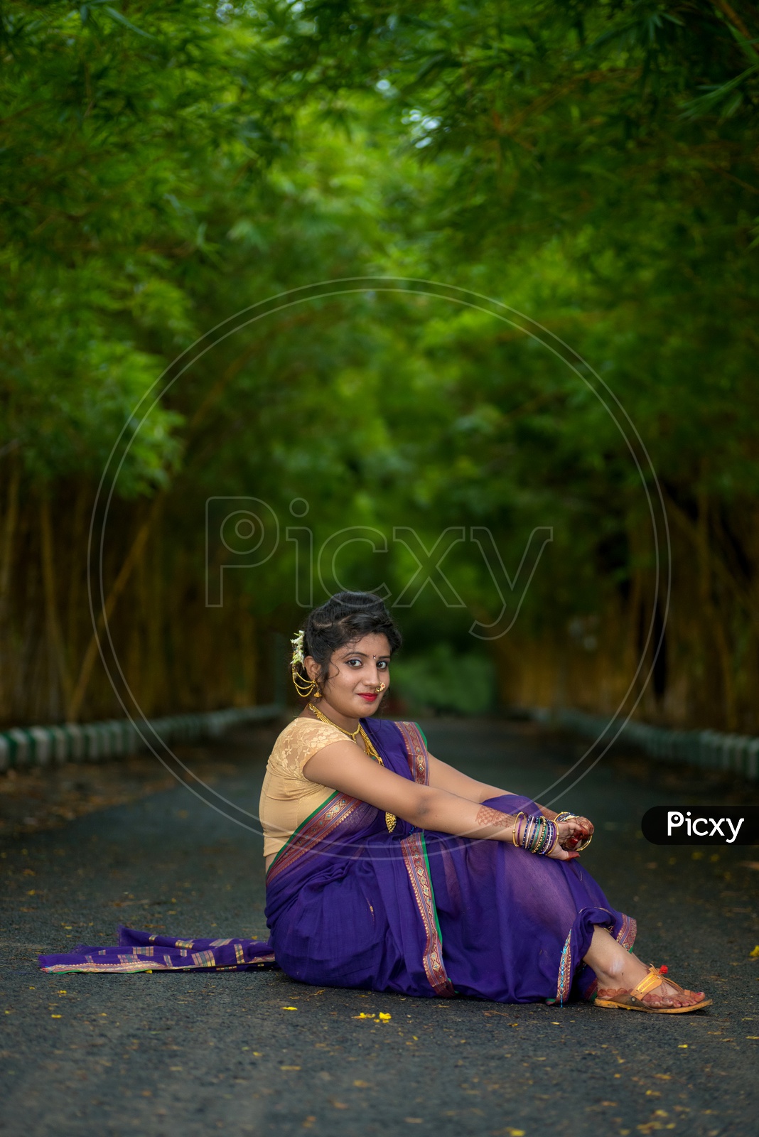 Image Of Indian Traditional Beautiful Woman Wearing An Traditional Saree And Posing On The 8448