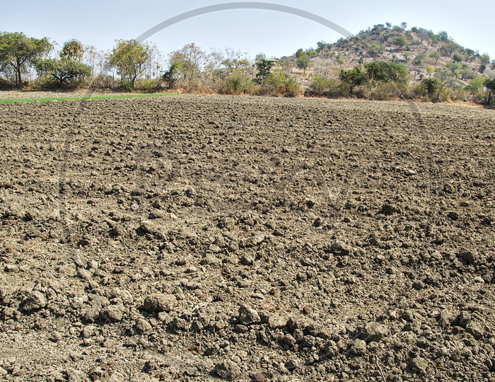 Dried Agricultural Lands With Loose Soil