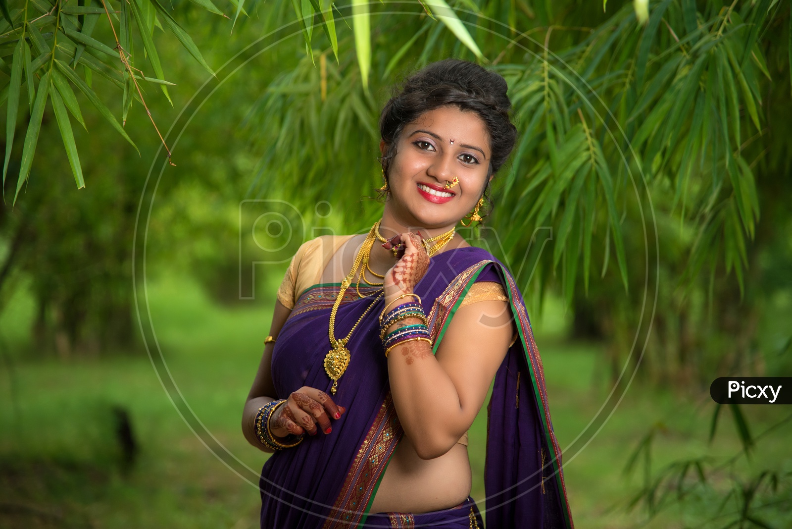 Traditional Beautiful Indian young girls in saree posing on white  background 4976551 Stock Photo at Vecteezy