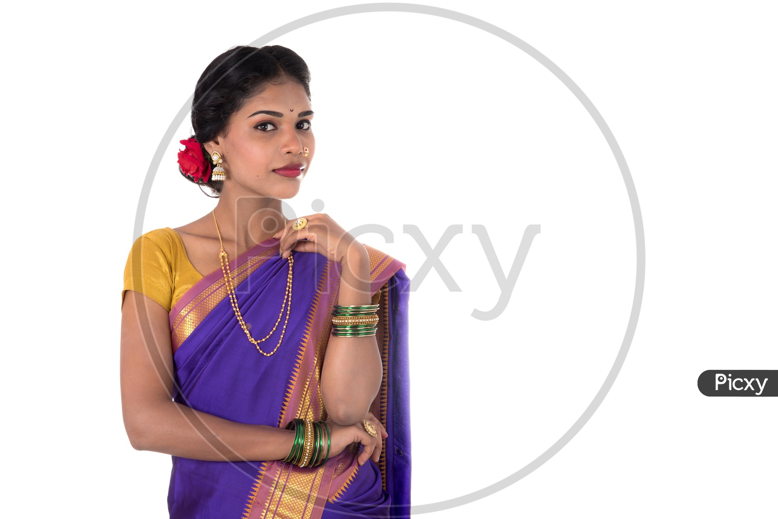 Image of Indian traditional Beautiful Woman Wearing an traditional Saree  And Posing On The Outdoor With a Smile Face-NP151403-Picxy