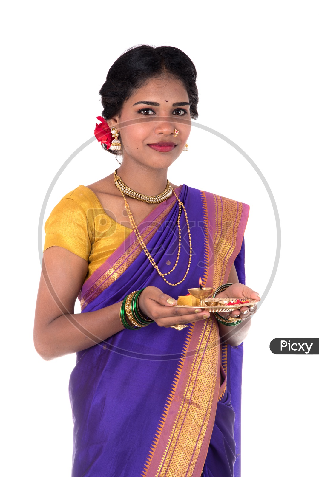 Traditional Girl Posing Sidewards With Nice Sari Stock Photo, Picture and  Royalty Free Image. Image 4858841.