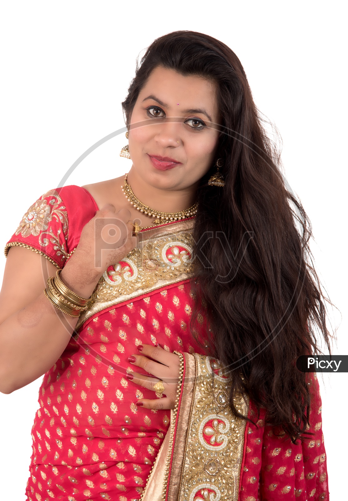 Posing Indian woman stock photo. Image of looking, fresh - 15869162