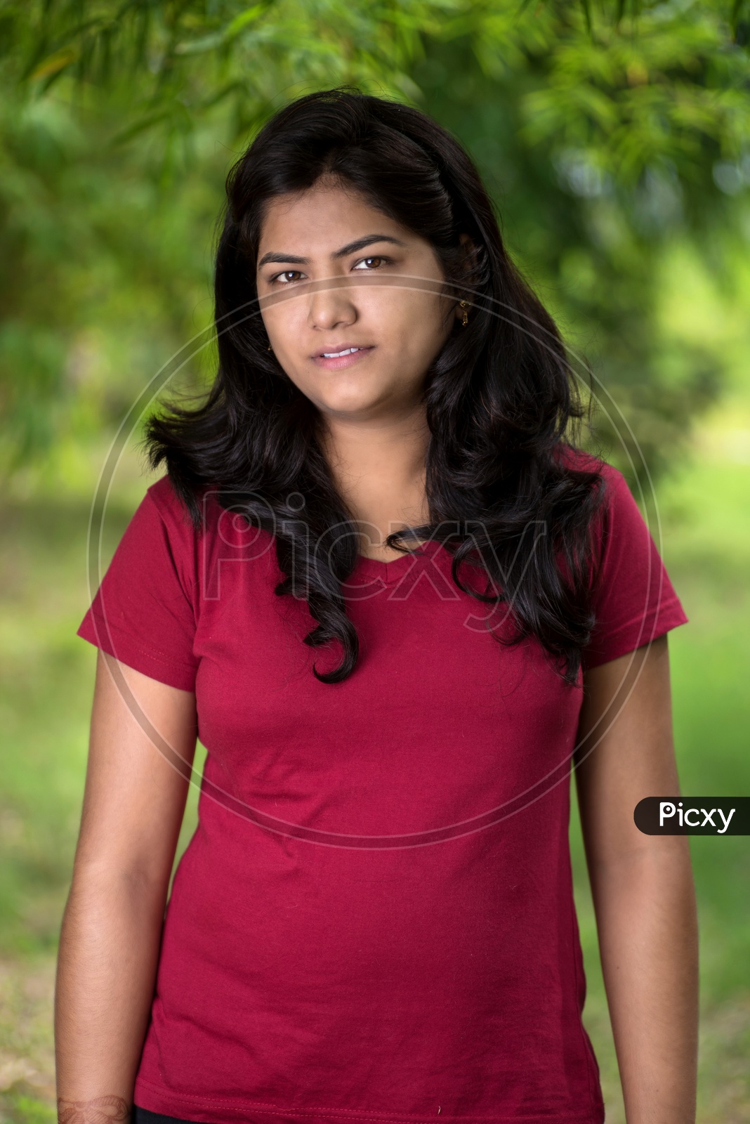 Image of Portrait Of a Young Indian Beautiful Woman Posing In Outdoor Or In  a Park Background-TO589915-Picxy