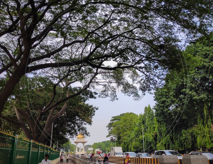 Albert Victor Road, Mysore