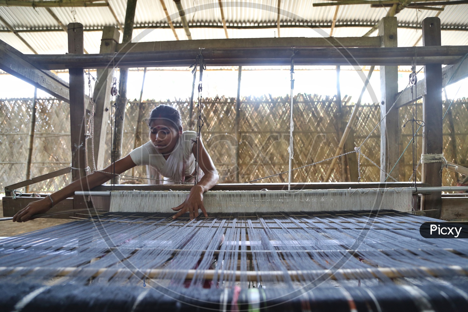 An Indian Woman Weaving The Hand loom  Saree Or Sari  in A Traditional Weaving Machine In Rural Village House