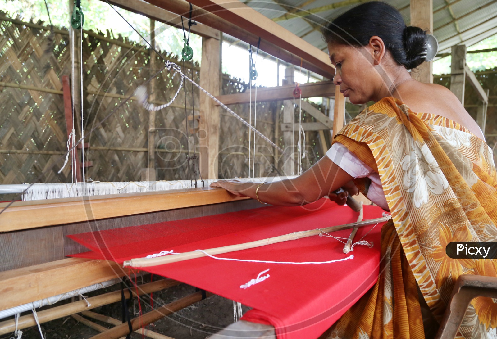 Weaver in Assam
