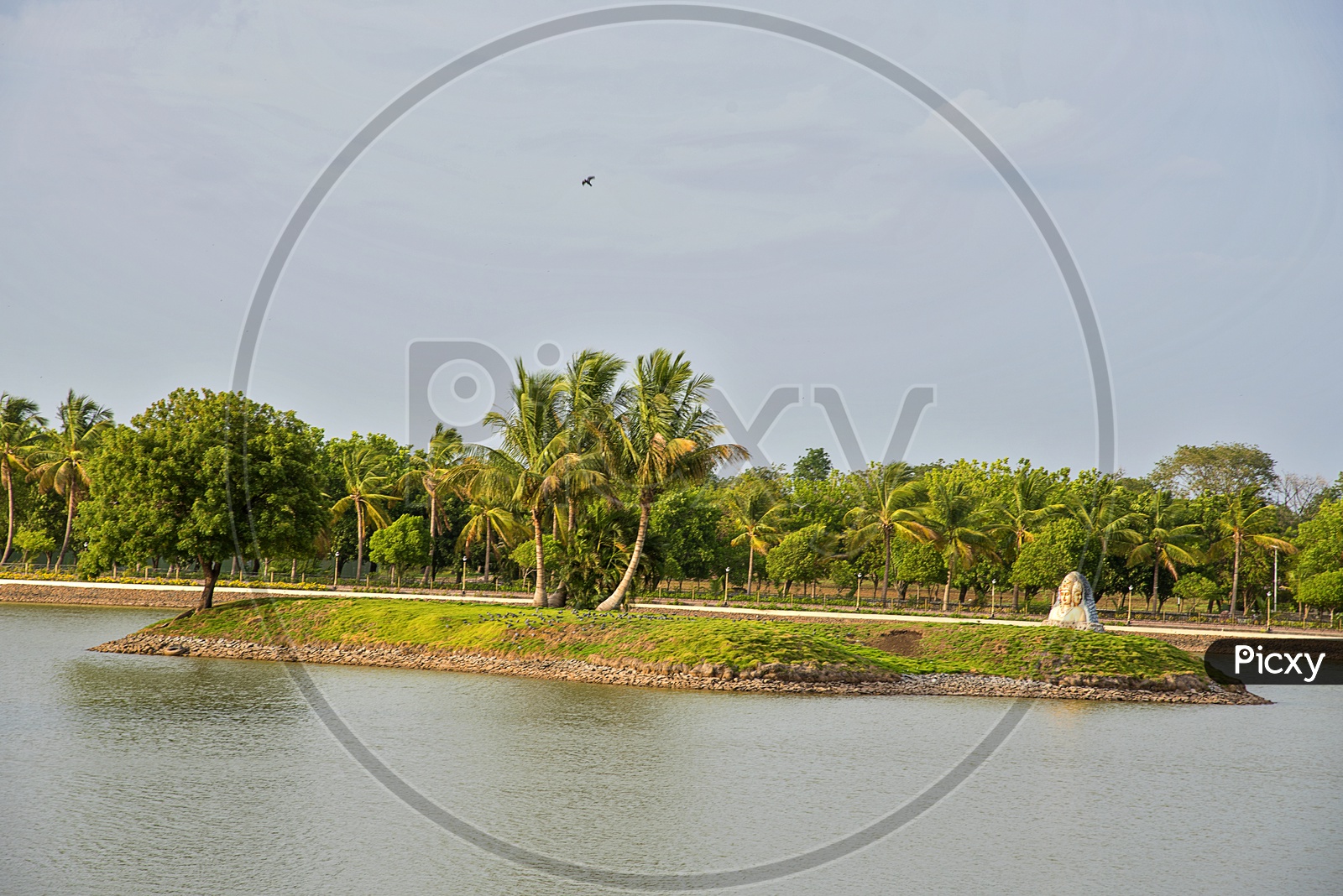 Water Front with Coconut Trees In an  Island At Anand Sagar Shri Gajanan Maharaj Sansthan  temple