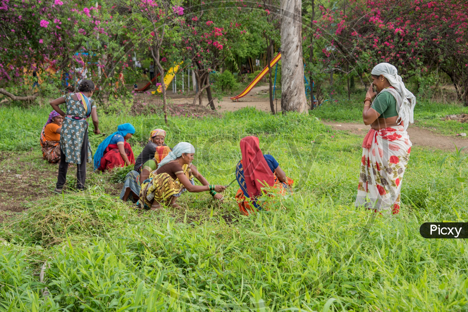 Woman Workers Working In a Garden Or Gardening or Workers In a Park