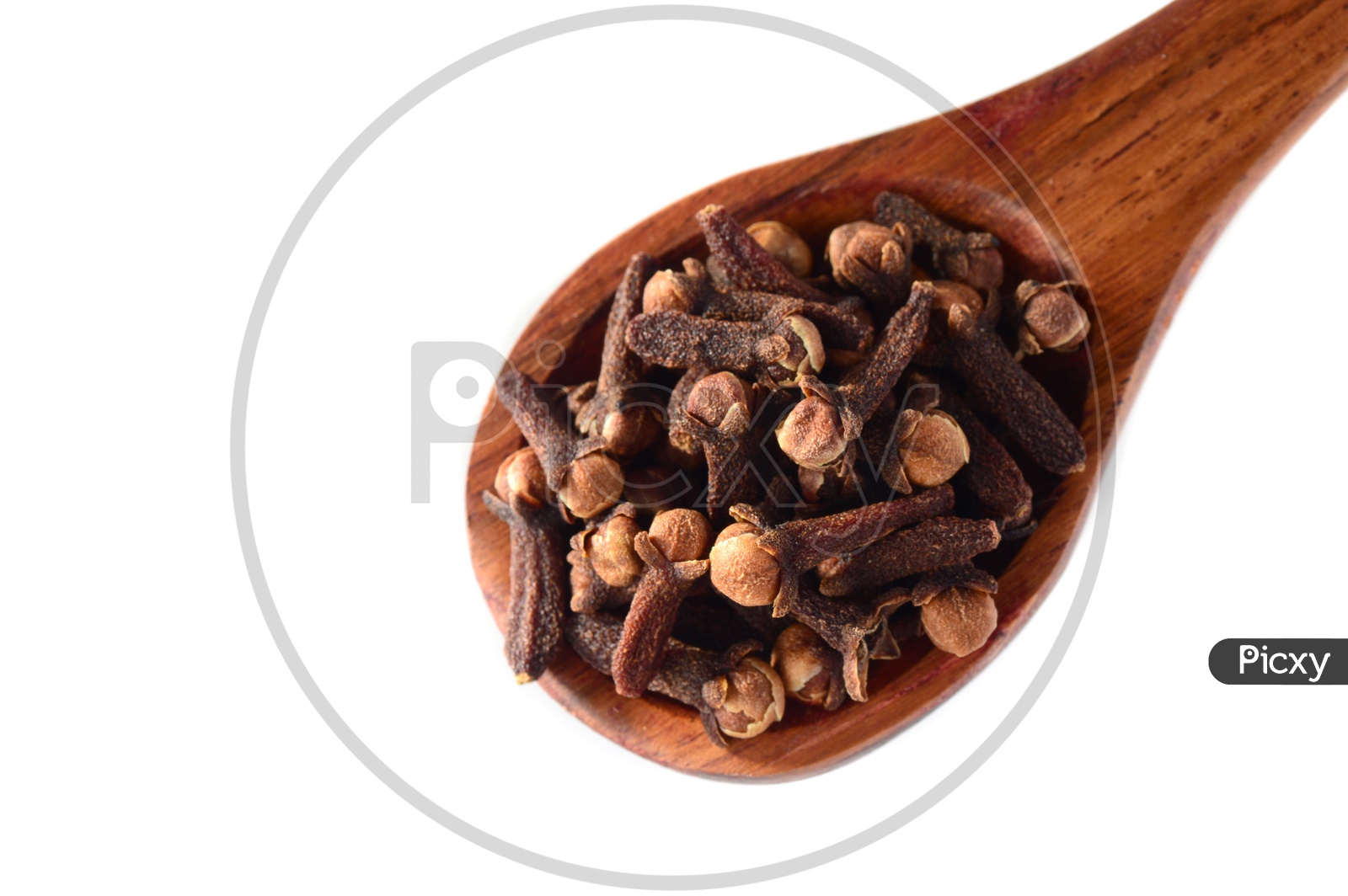Cloves Or Indian Spice Cloves Composition Shot With Wooden Spoon On An Isolated White Background