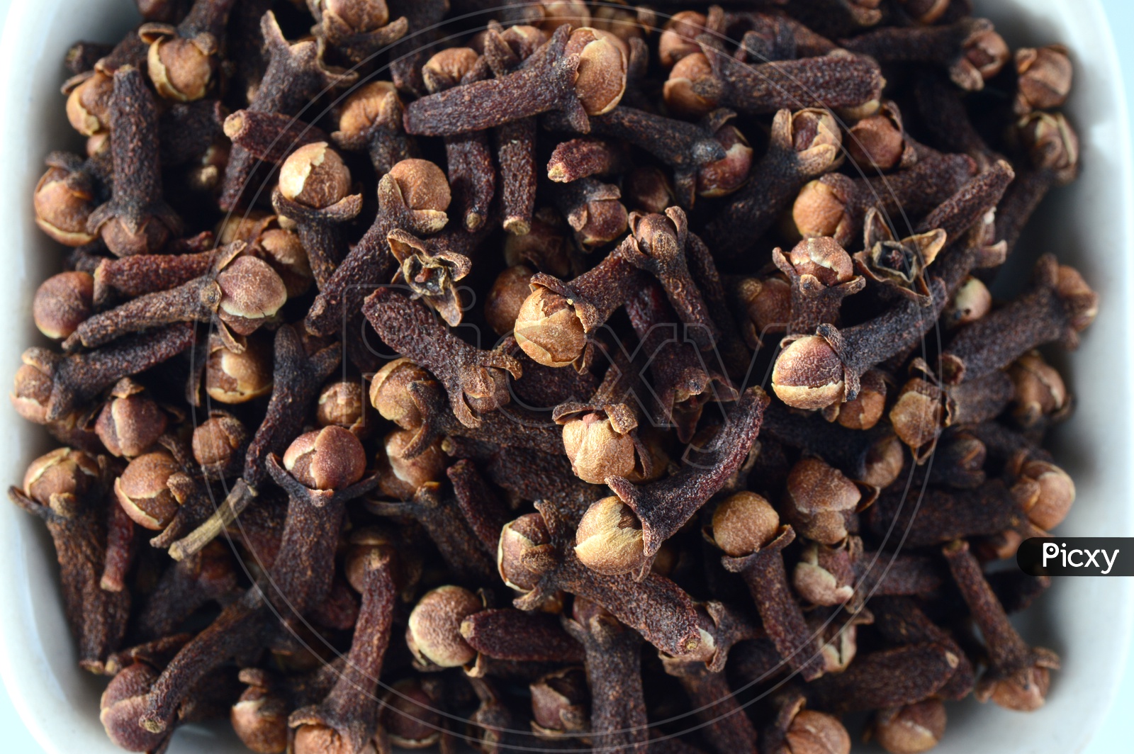 Indian Cloves Or Indian Spices Cloves Pile   Background