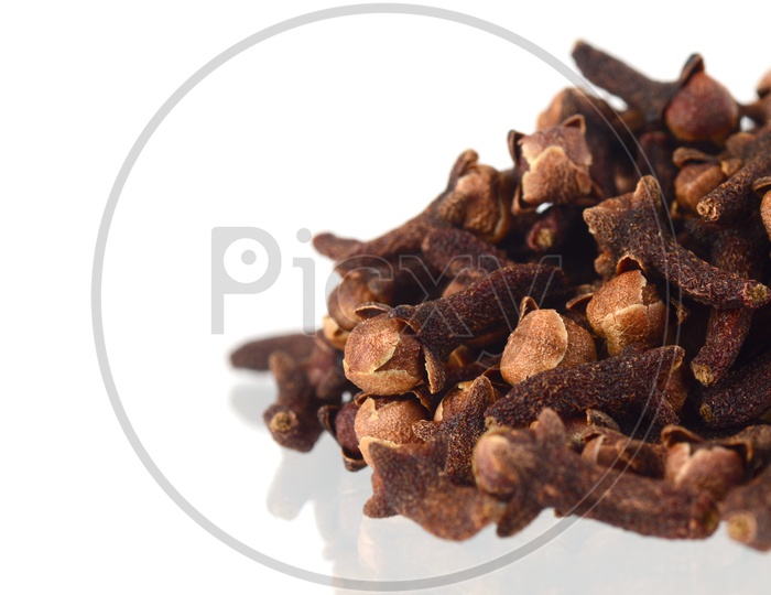 Indian Cloves Or Indian Spices Cloves Pile  On an Isolated White Background