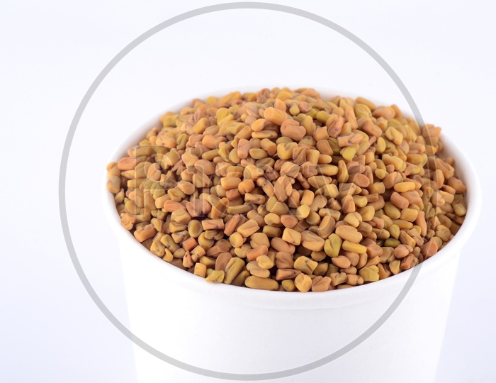 Fenugreek seeds in white bowl isolated on white background