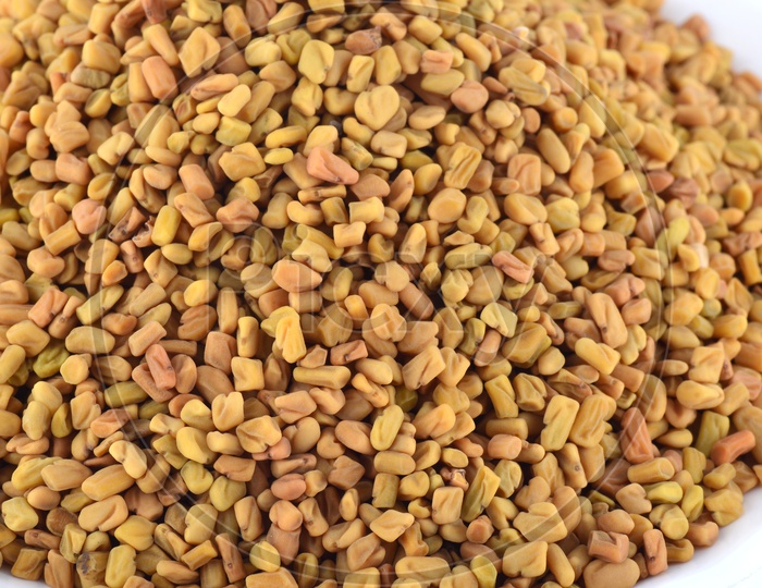 Image of Fenugreek seedsTK136770Picxy