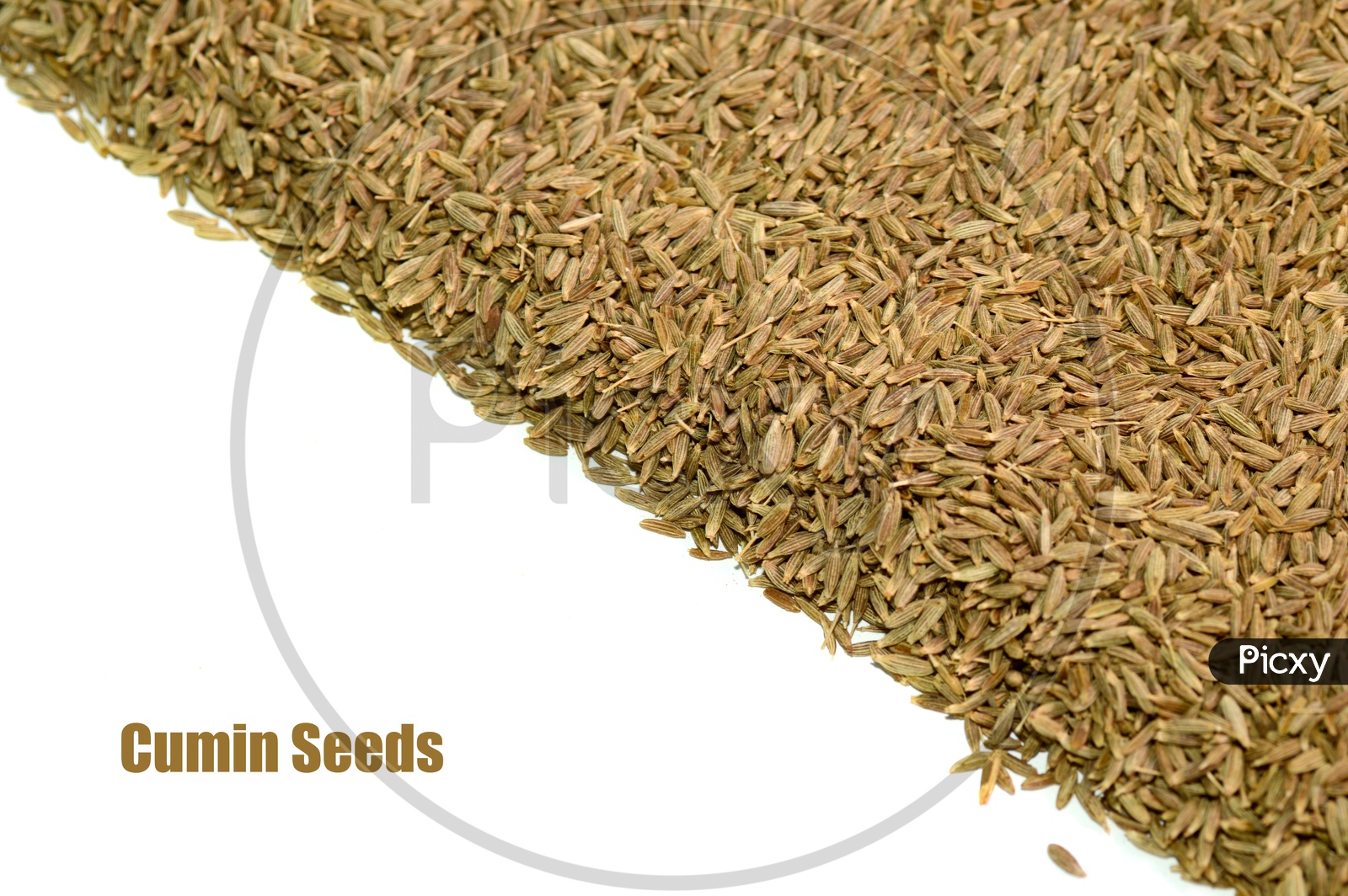Cumin Seeds or Jeera  On an Isolated White Background