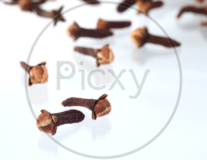 Cloves Or Indian Spices Cloves Scattered On an Isolated White Background