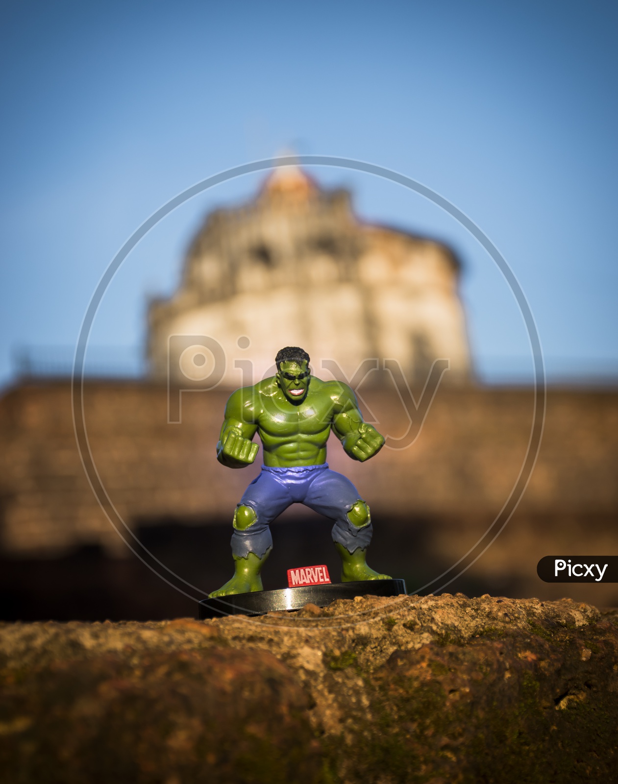 Hulk in Goa
