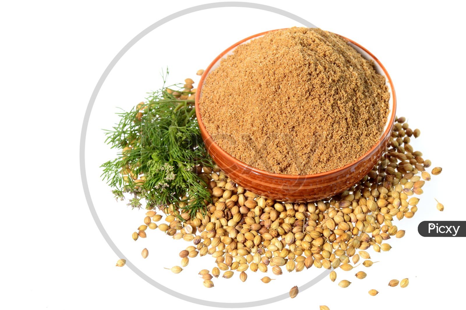 Image Of Coriander Seeds Fresh Coriander And Powdered Coriander   550c38510c5c30ca7a926c4eec37babe 