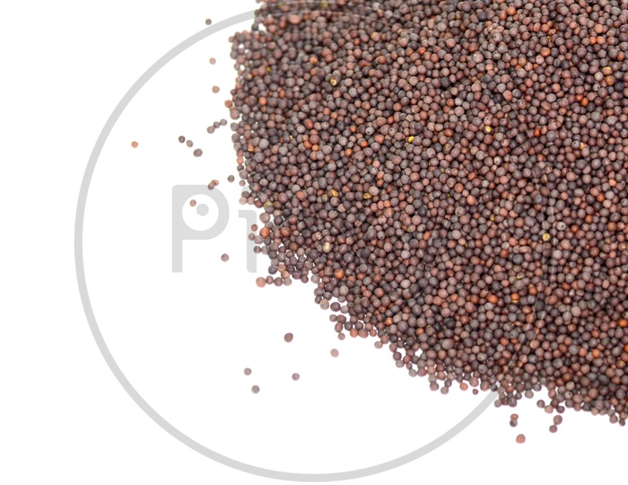Black Mustard Seeds on an Isolated White Background