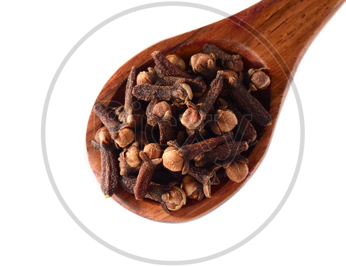 Cloves Or Indian Spices Cloves In a Spoon On An Isolated White Background