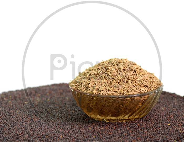Mustard Seeds And Cumin Seeds Or Jeera  Composition With White Background