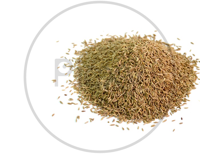 Cumin Seeds or Jeera On an Isolated White Background
