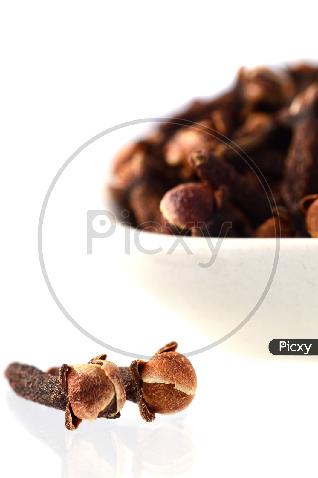 Cloves Or Indian Spices Cloves In a Bowl On An Isolated White Background