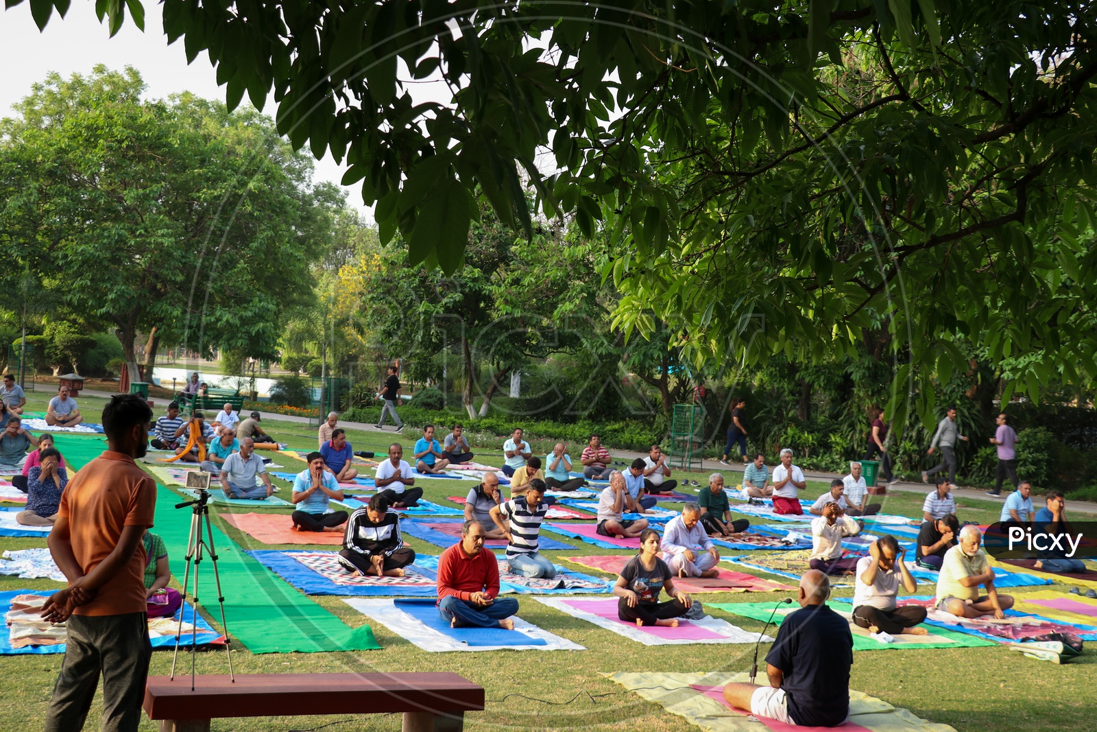 People doing yoga and meditation in a park