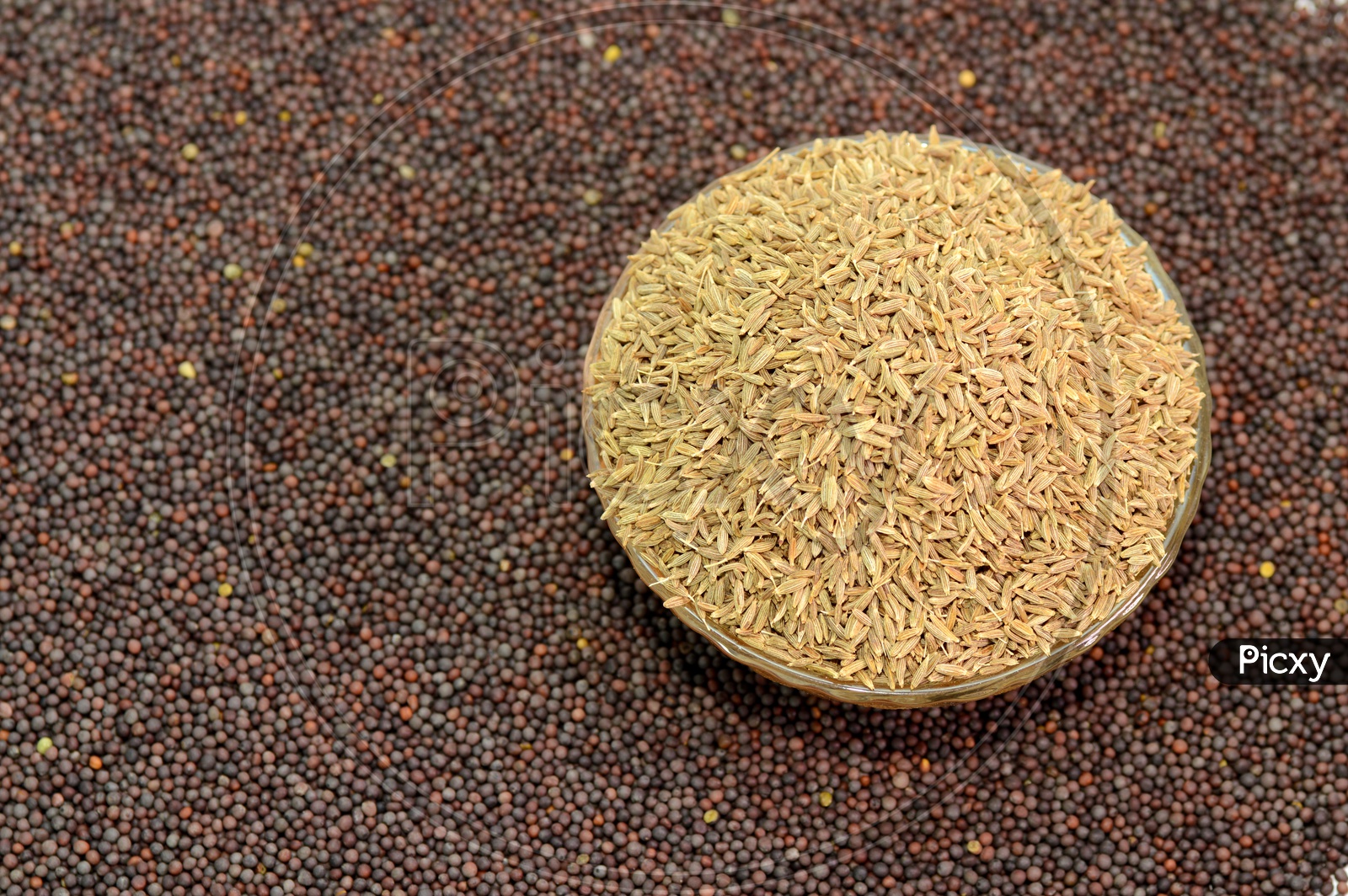 Mustard Seeds And Cumin Seeds Or Jeera  Composition  Background