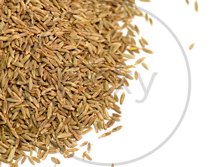 Cumin Seeds or Jeera  On an Isolated White Background