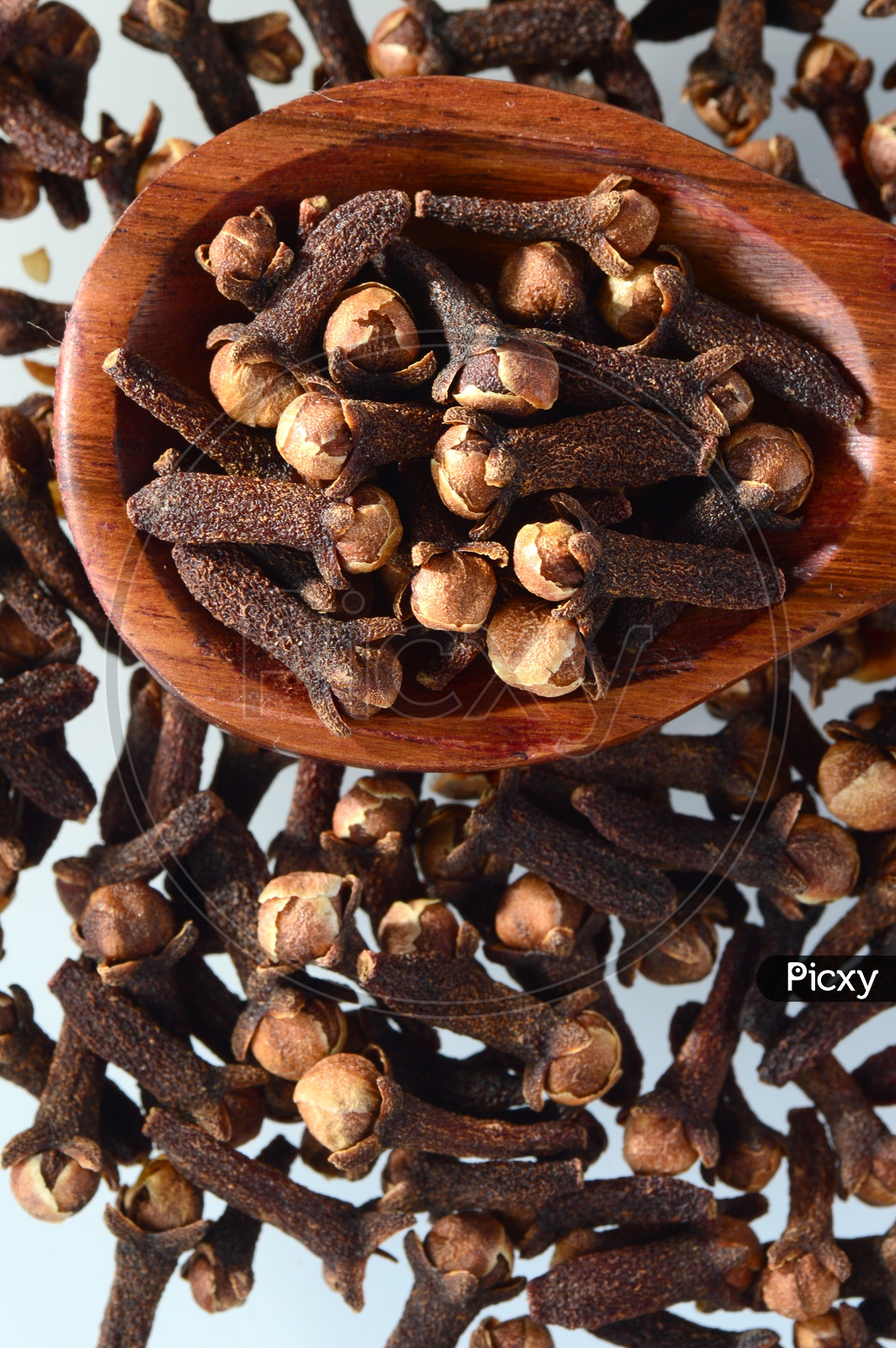 Cloves Or Indian Spice Cloves Composition Shot With Wooden Spoon On An Isolated White Background