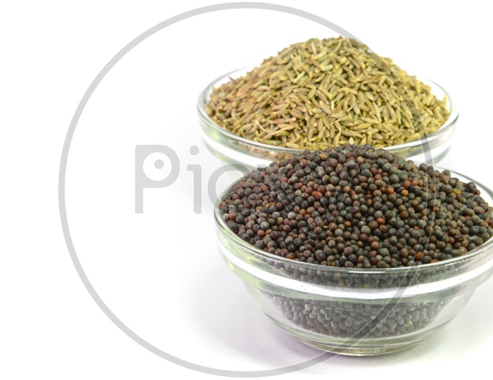 Cumin Seeds Or Jeera And Black  Mustard Seeds In Bowls On an Isolated White Background