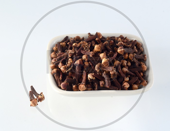Image of Cloves Or Indian Spices Cloves In a Bowl On An Isolated White
