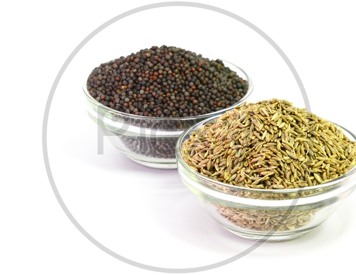Cumin Seeds Or Jeera And Black  Mustard Seeds In Bowls On an Isolated White Background