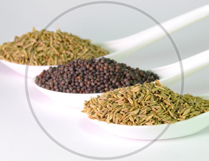 Cumin Seeds Or Jeera And Black  Mustard Seeds In Spoons  On an Isolated White Background