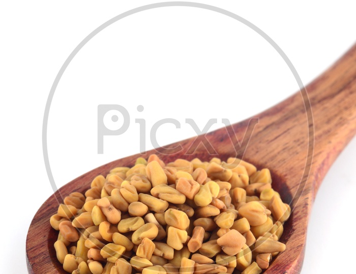 Fenugreek seeds in a wooden spoon isolated on white background